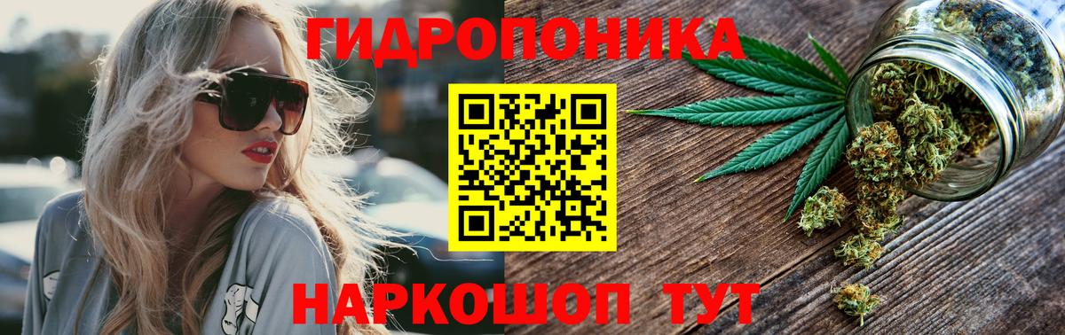 Бошки Шишки Ganja  Канабис OG Kush  Вход с VPN  Истра  Каннабис OG Kush 